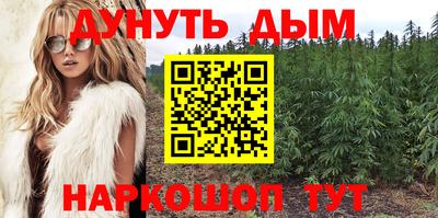 спиды Новозыбков